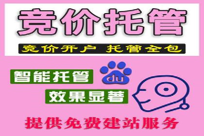 SEM主管实战技巧：案例分享与解读